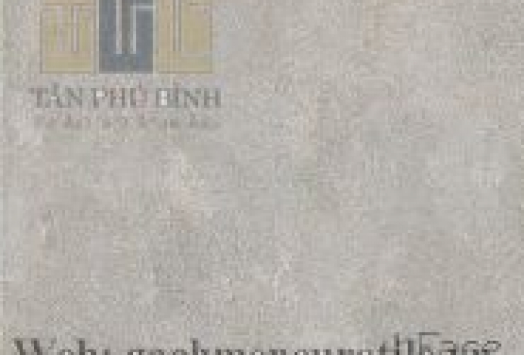 GẠCH LÁT EUROTILE 600x600 THD H02