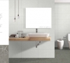 GẠCH ỐP EUROTILE 300x600 THK G01